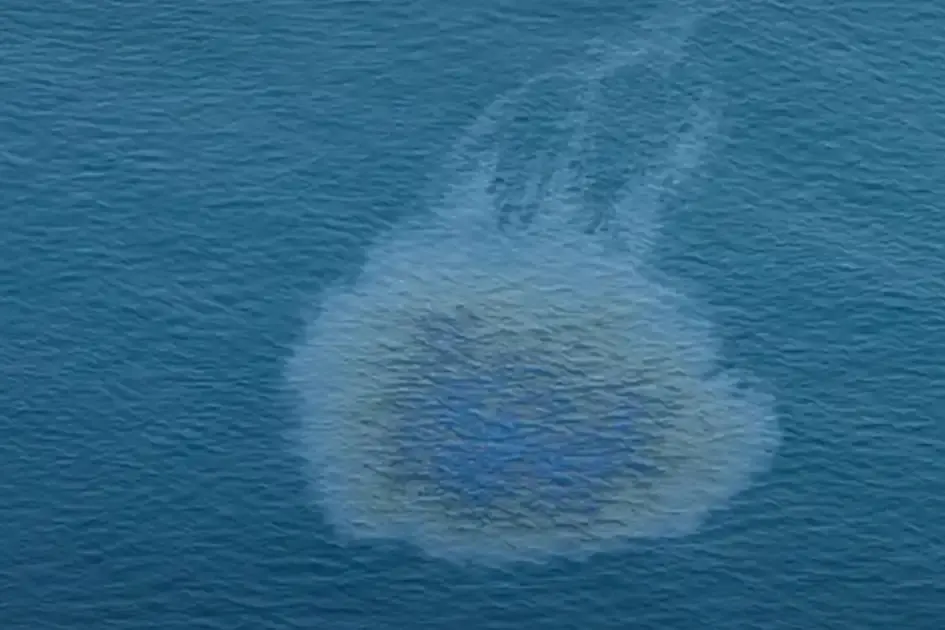 UAE confirms 'noticeable decline' in pollution as oil spill cleanup continues